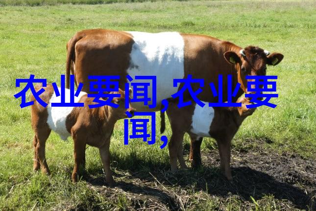 苗木种植行业现状及发展趋势-绿色生态的未来苗木产业的创新与展望