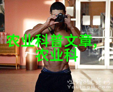 种植一亩大棚香椿的全套成本分析从土壤改良到机械设备