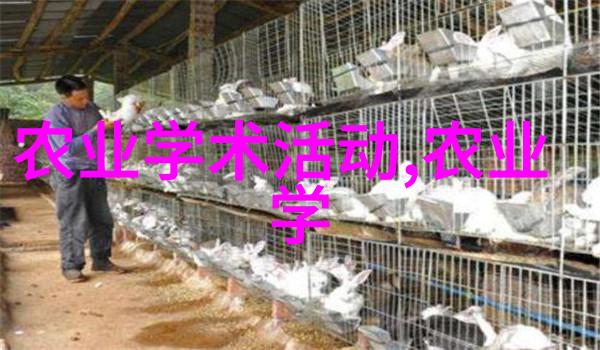 茶园春光探秘中国茶叶种植的艺术与技巧