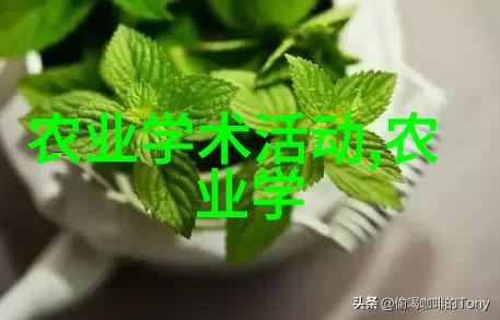 走进中药材寻找秋天最健康的草本茶叶