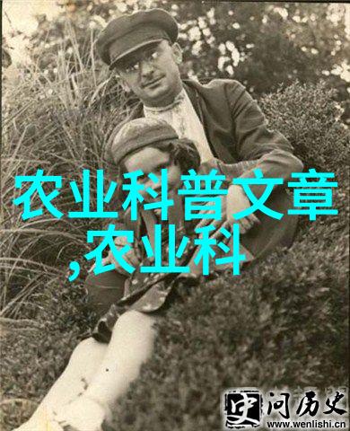 水果种子的形态学观察与图片解析揭示种子结构的多样性与进化意义