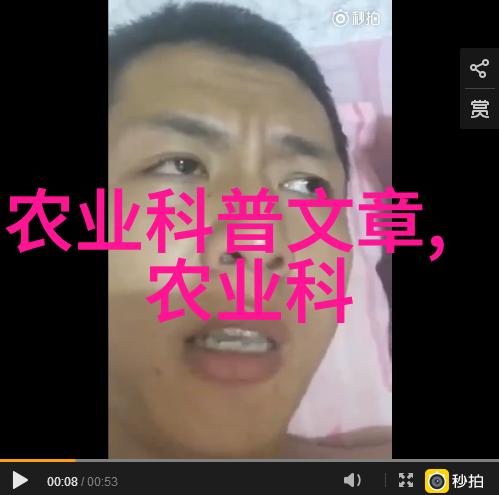 鳝鱼养殖大师从泥潭到餐桌的奇幻旅程