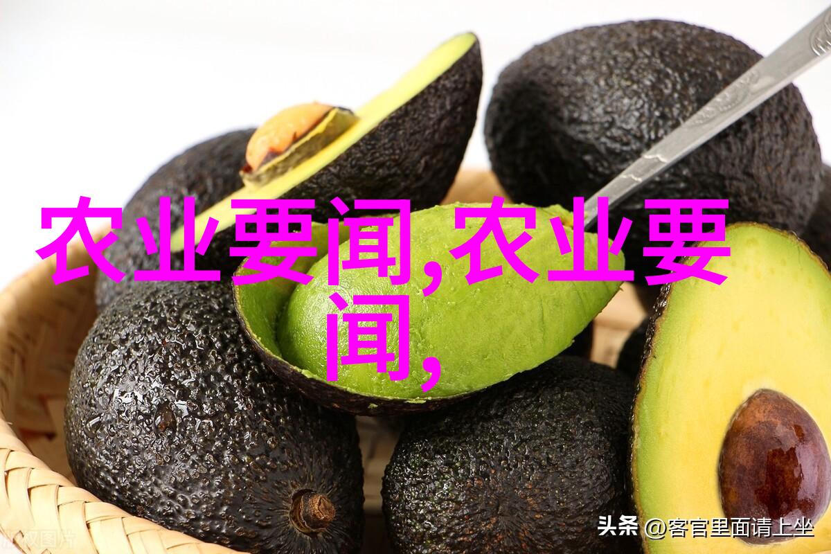 色125综合网探索网络资源的多样性与深度