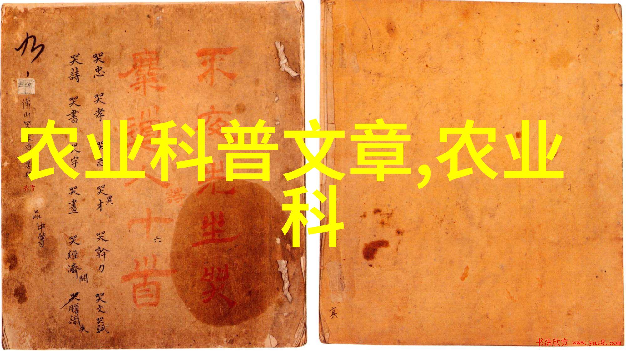 苍蝇养殖的艺术与科学如何让你的小院子变成苍蝇乐园