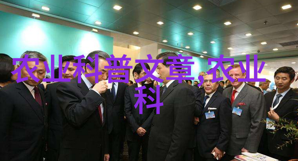 机械之心皮带机的运作与应用