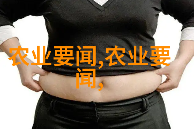 法规与政策的智慧探索法律法规体系政策制定过程