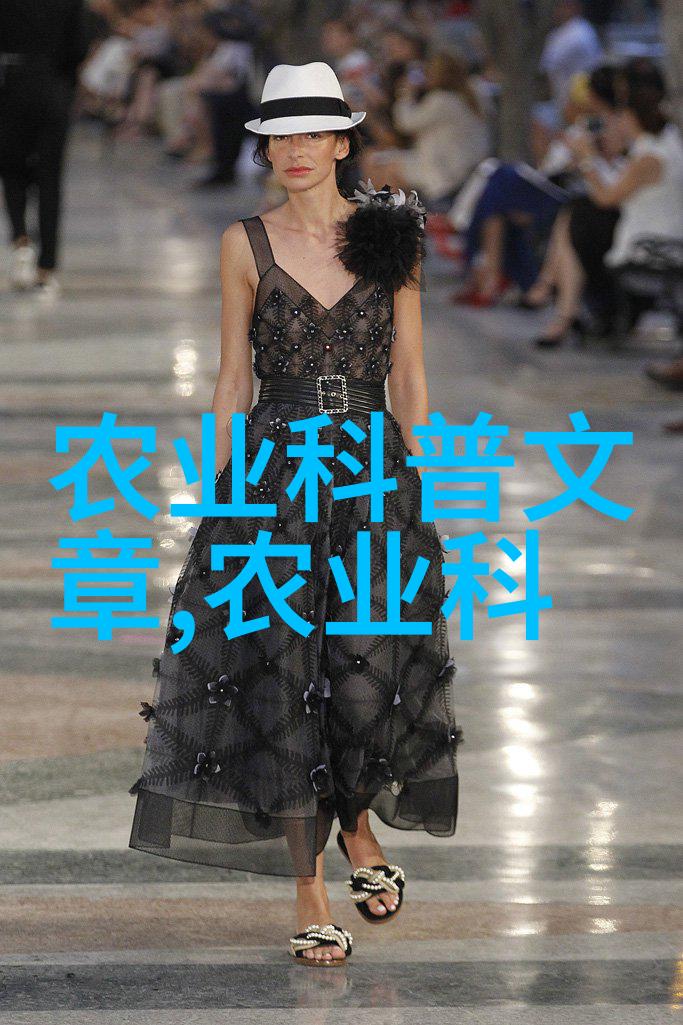 探秘蜂箱内幕一条完整的养蜂技术视频全过程解析
