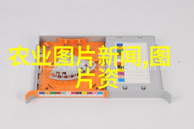玉米病虫害防治策略详解