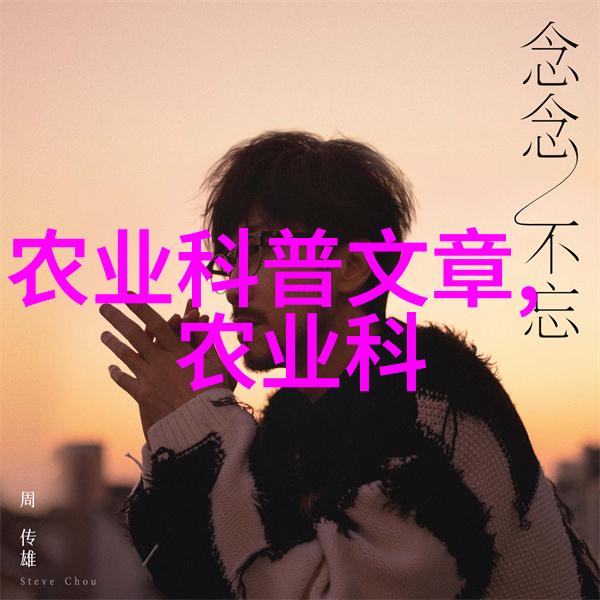 玉米收获后的智慧运作玉米秸秆打包机的应用与优势
