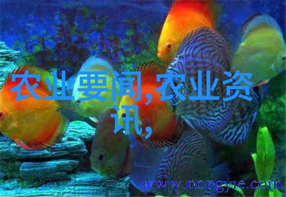 乡村富源选择合适的养殖项目实现双丰收