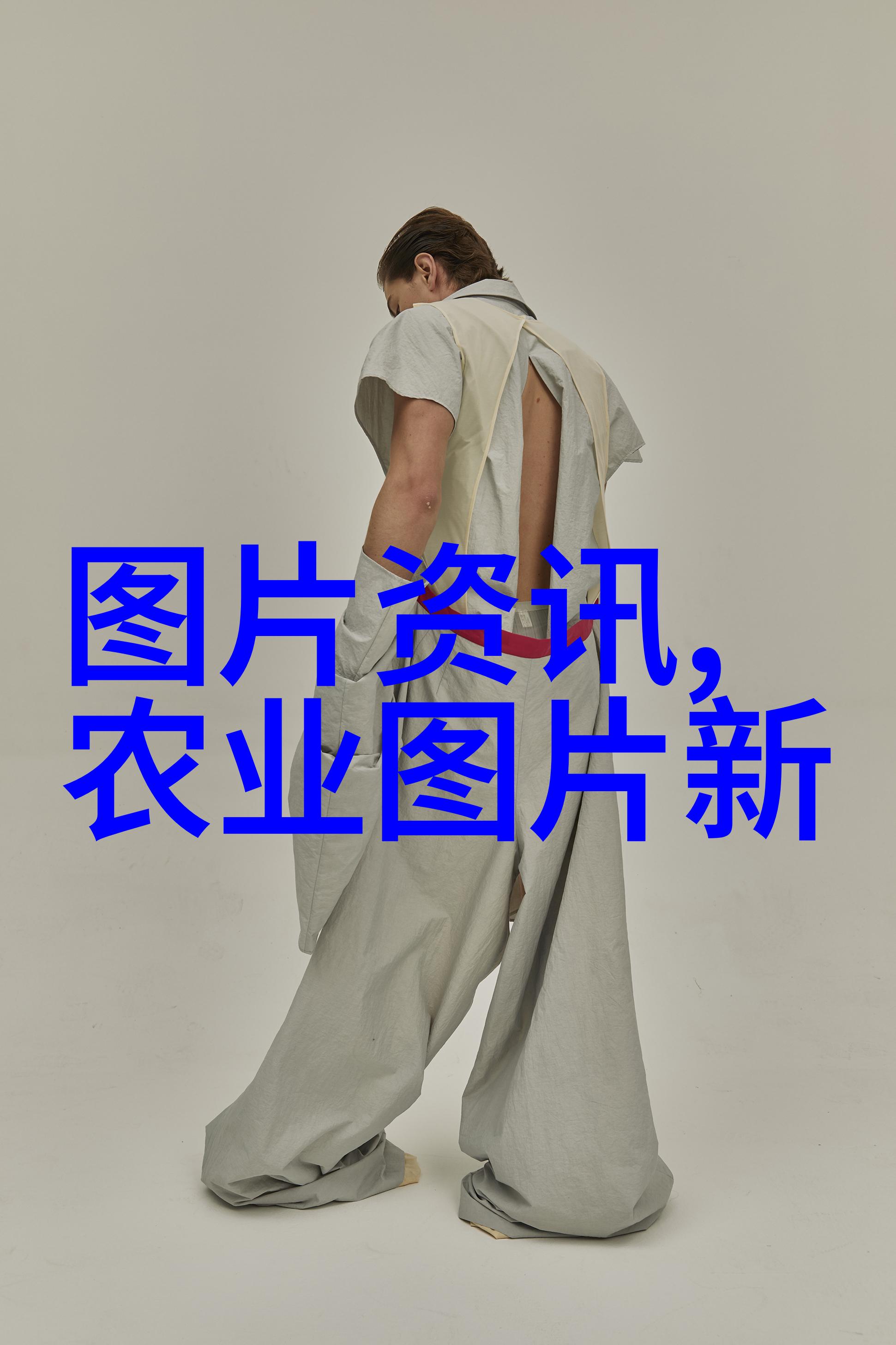 懒人园艺指南哪些室内蔬菜能在阴光下也健康成长