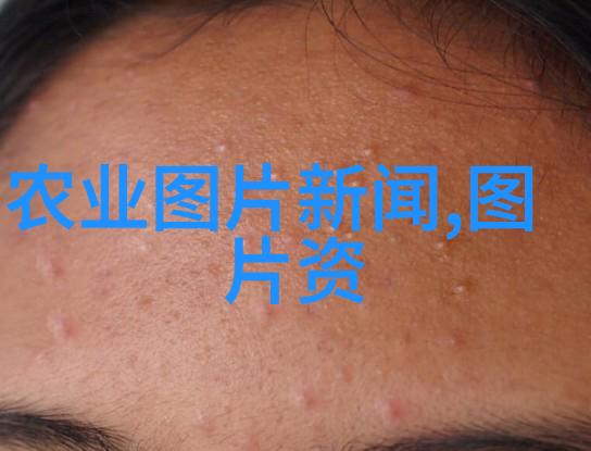 成都草莓苗批发市场我在成都的这次寻宝之旅揭秘那些土豪买家的秘密基地