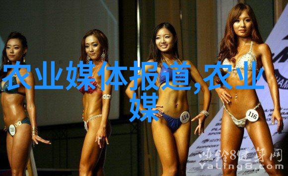 秋日丰收八月九月的最佳果实选择