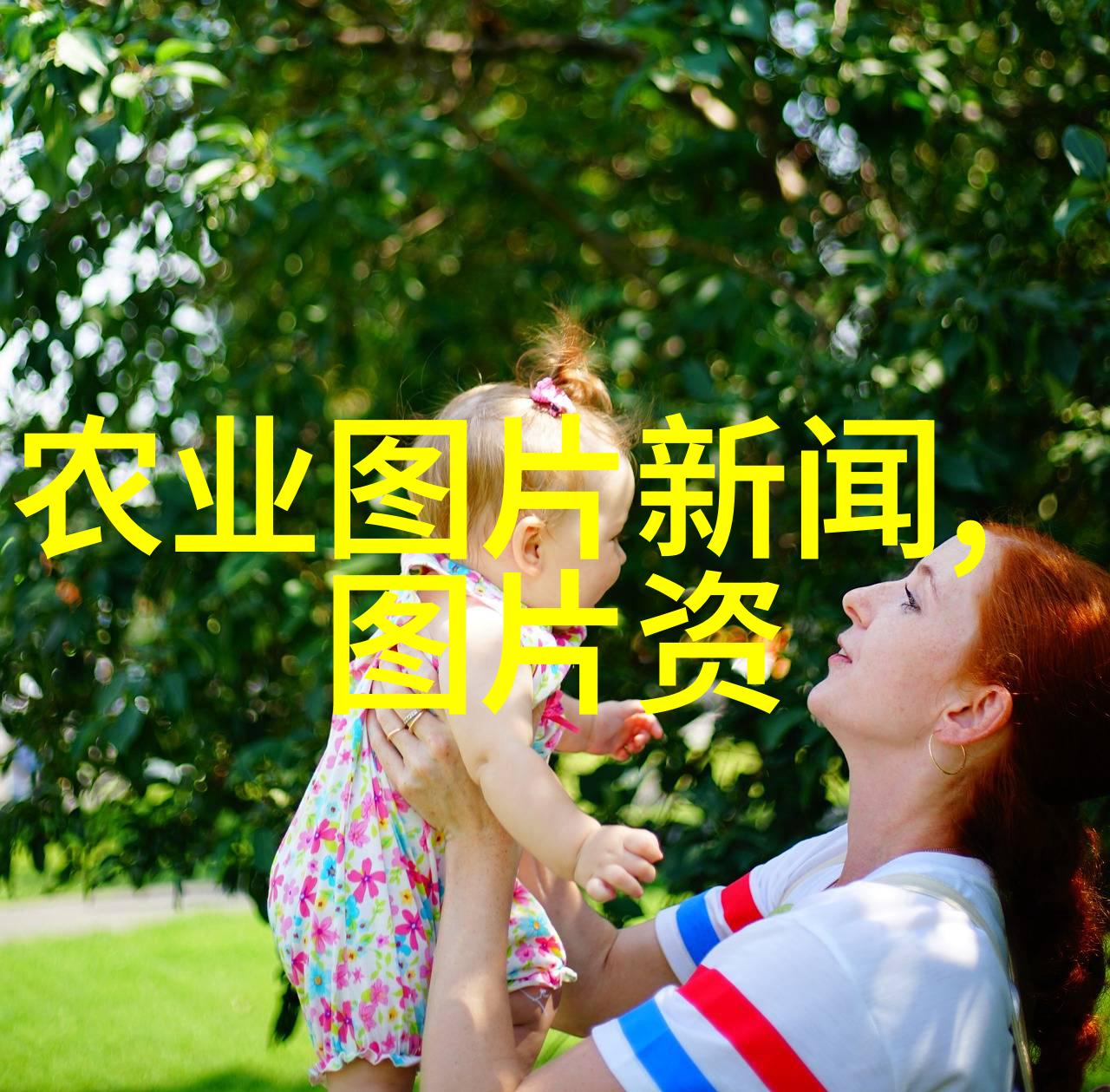 水果故事里的核心角色深入了解那些精致而复杂的种子图片