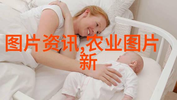 金线莲回收大赛谁能掐出最高价