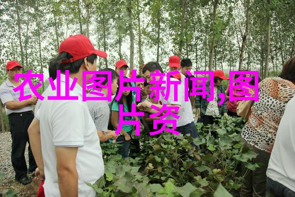注意倍硫磷不得在豇豆上使用