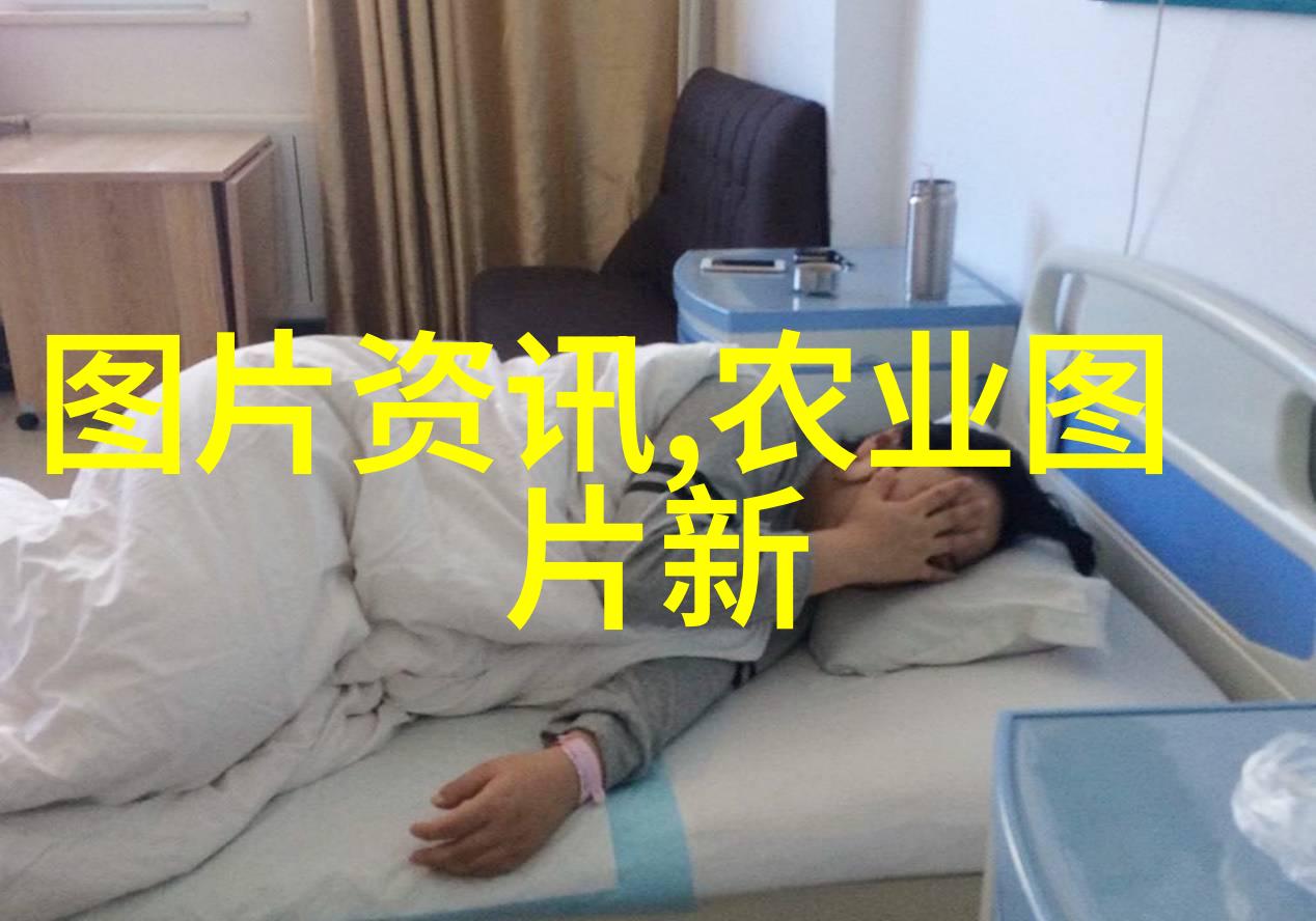 蜜蜂的忙碌生活蜜蜂的社会结构与采集技巧