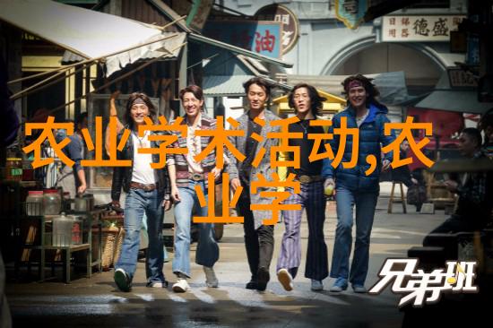 米粉文化中国各地特色面粉及其应用艺术