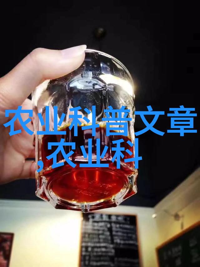 探索亲情与文化的交汇我女朋友妈妈五部曲的翻译奇遇
