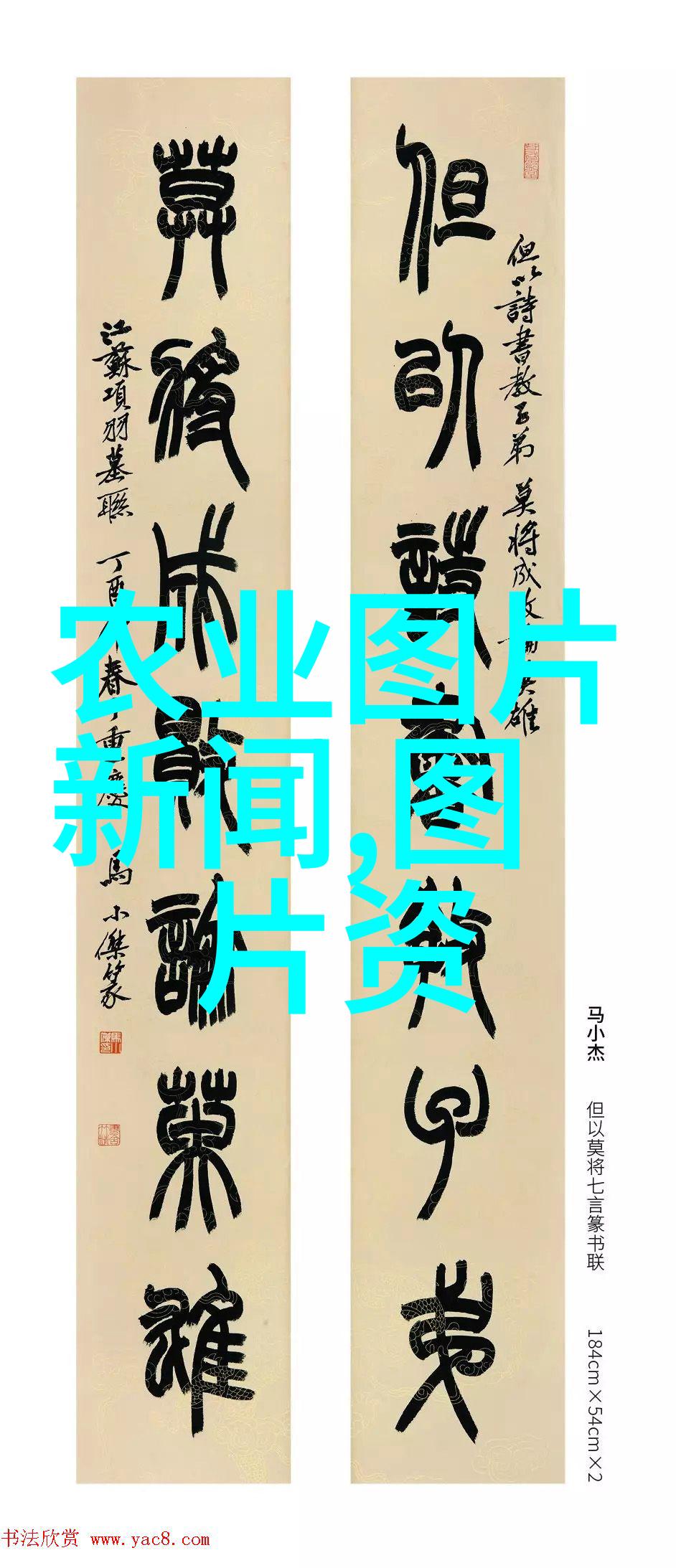 苗圃花卉基地鲜花种植园艺文化植物繁殖