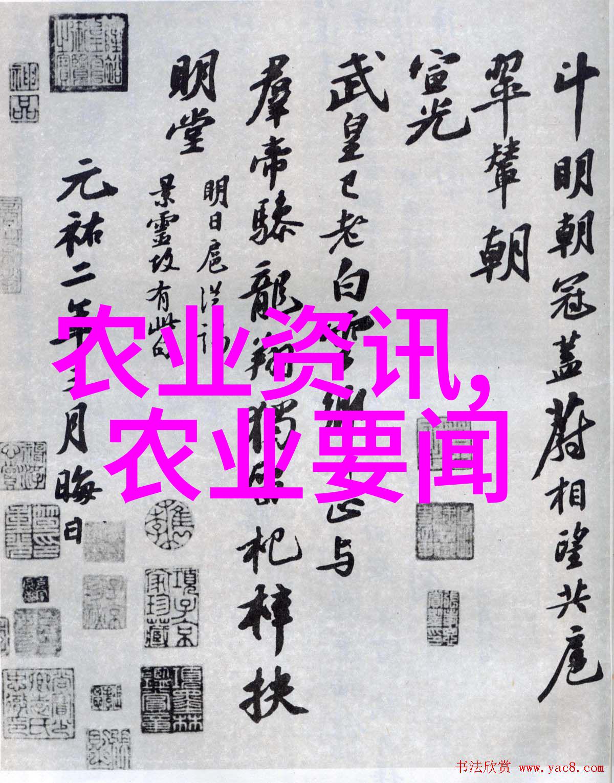 如何避免在购买金线莲种子上被高价欺诈