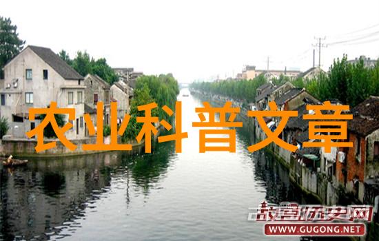 2023成都榜样最美科技工作者王森斩获殊荣