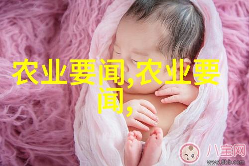 农机作业-机械化耕种收获全面解析农机作业的各项内容