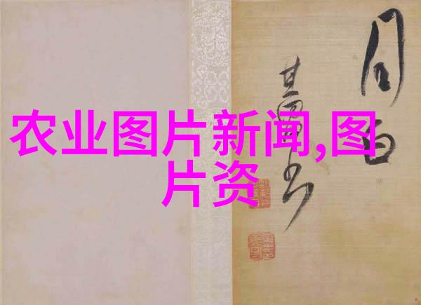 蜜蜂的世界掌握基础养殖技巧