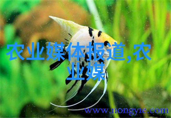 我要告诉你四季花香室内养花小技巧
