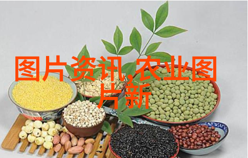 未来的田野揭秘农业科技的神秘面纱