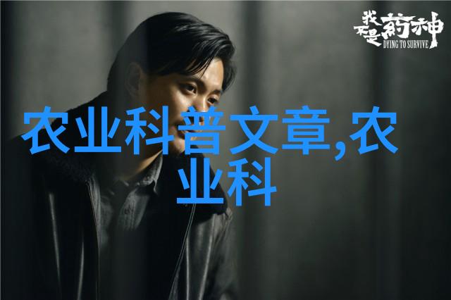 免耕播种机亲自体验这场革命性变革