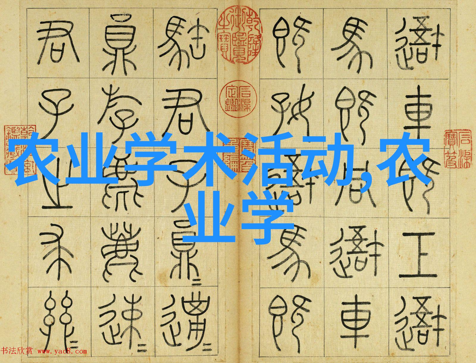 黄牛养殖-高质量牛苗批发确保畜牧业的可持续发展
