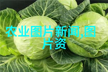夜幕下的英语启蒙老师与你的不眠之旅