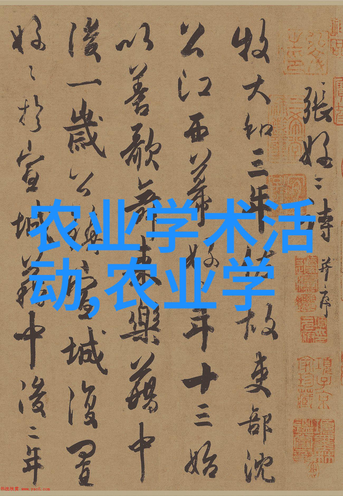 玉米种子我亲手播下的那颗小生命