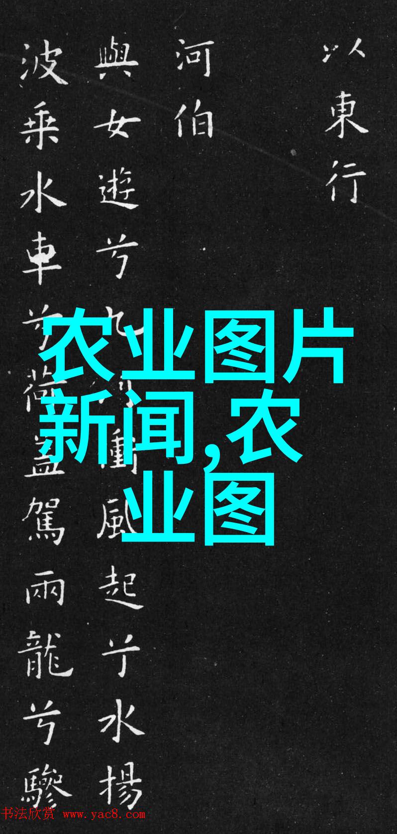 解析符合哪些条件才能报考2023年的法律职业