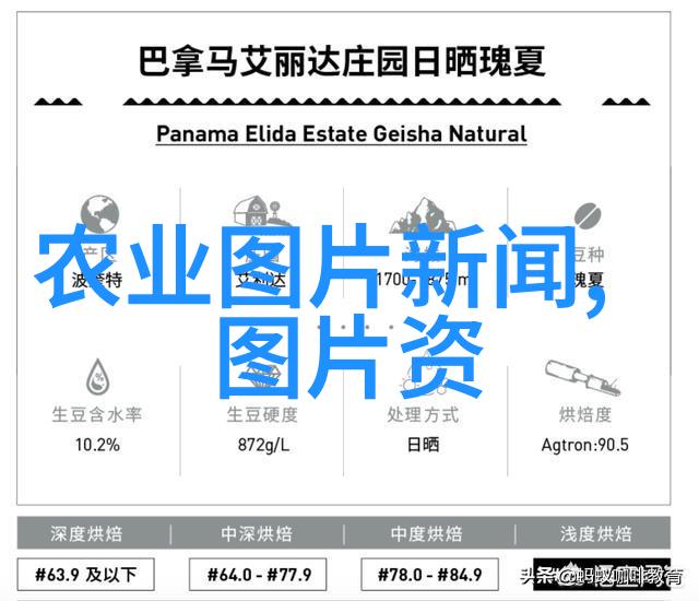 家庭花园中常见的问题与解决方案螃蟹爪兰版