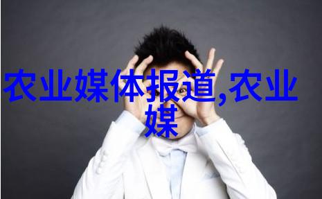 玉米种植的技巧与要点