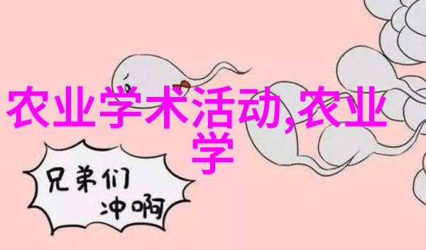 稻谷烘干机提高粮食储存效率的关键设备