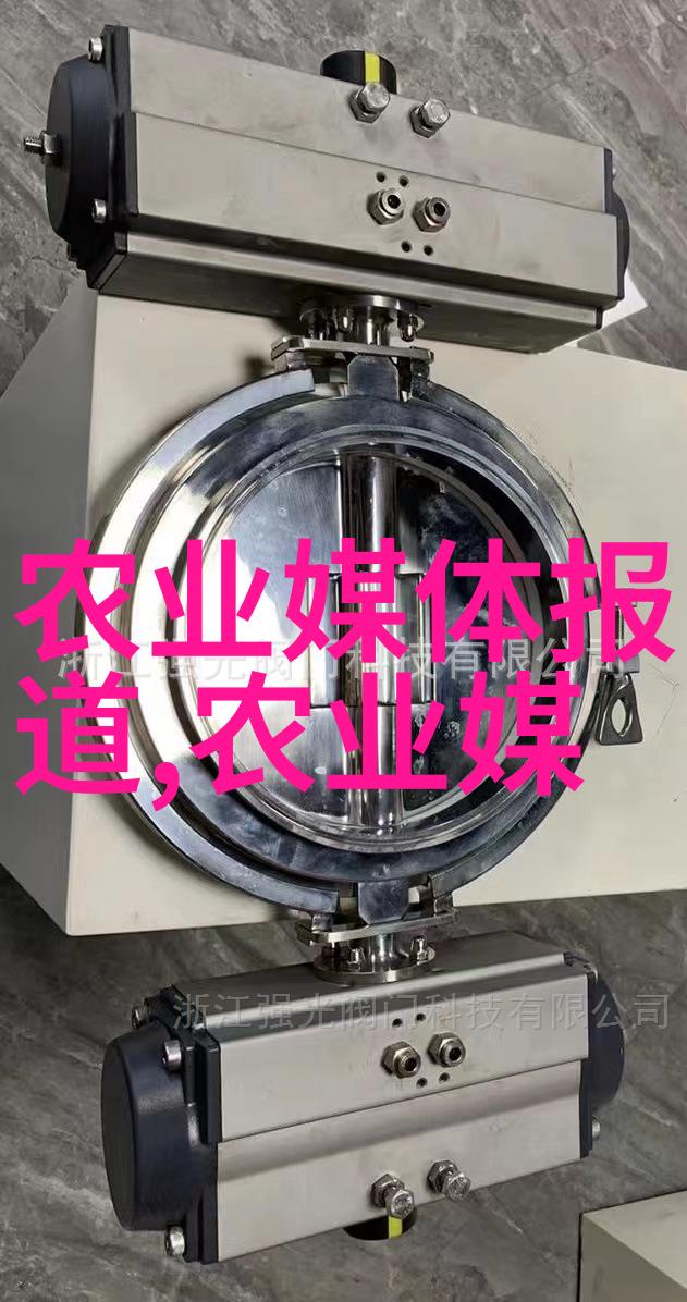 探索茶道之美一场心灵的盛宴