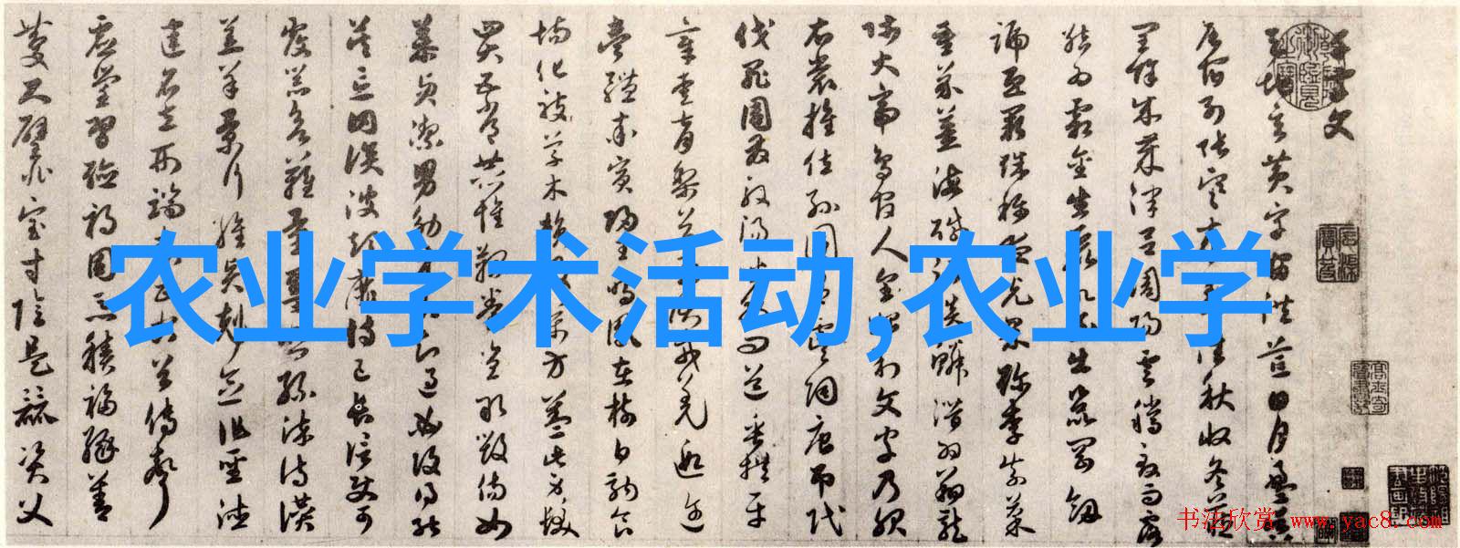 茶窝网咖啡与茶的交响曲