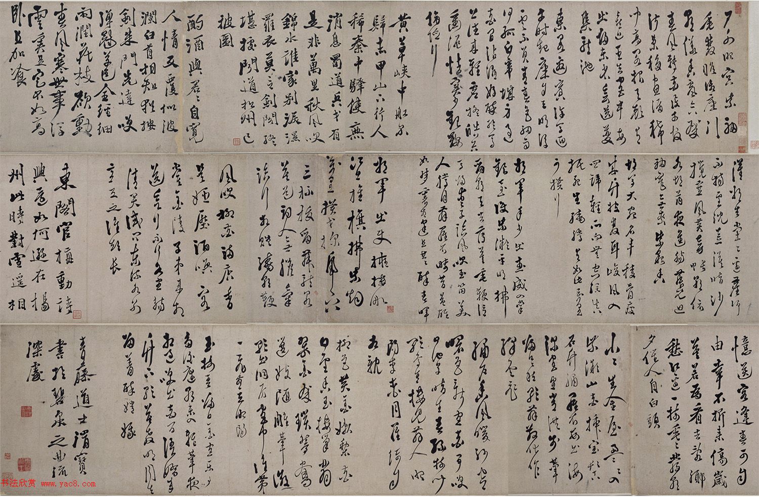 灵芝之谜真实与传说之间的探索