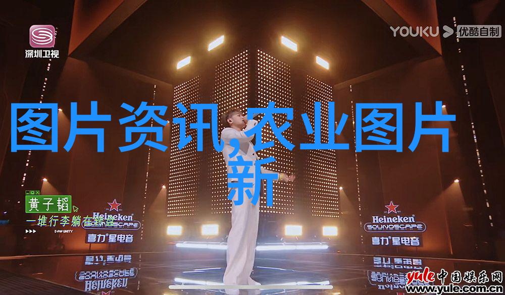 养胃茶十大选择