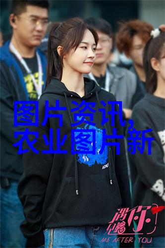 茶文化内涵与茶道精神-沉淀品味探索茶文化的深远内涵与茶道精神的哲学