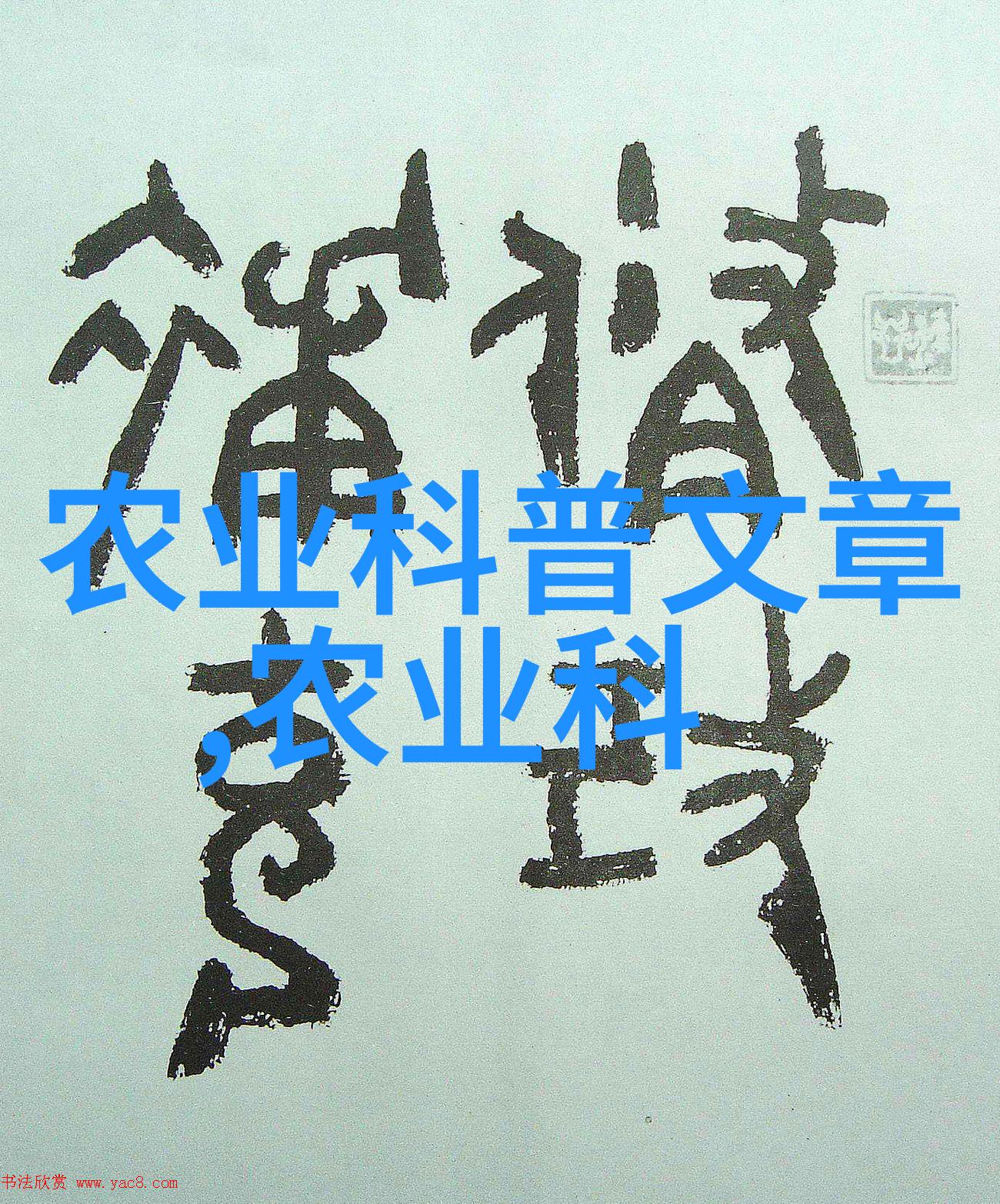 春日游记云南昆明鲜花市场的一日行程