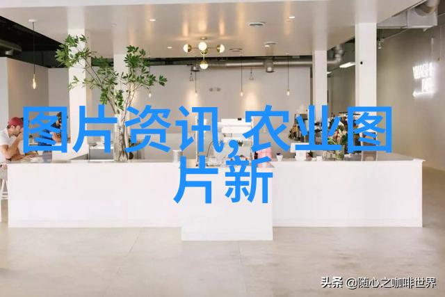 茶树的生长环境与习性