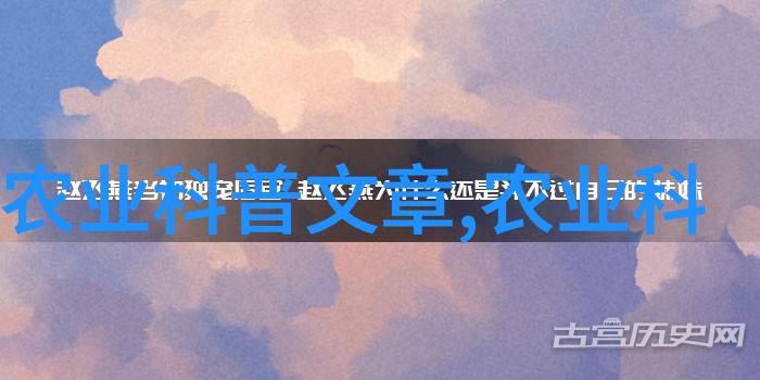 茶艺探索 - 品味传统揭秘中国名茶的古韵与魅力