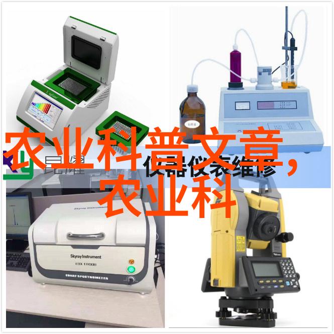 凤阳小岗村改革开放的缩影与历史见证