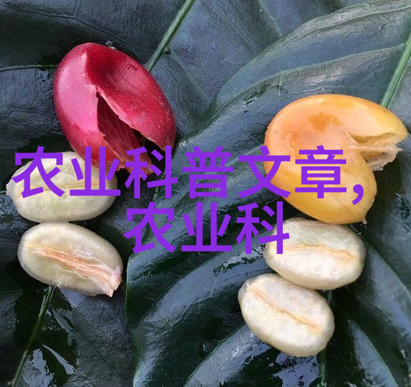 香菇价格如同天气预报马铃薯播种需依其指引而定