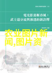 种植美丽详解花卉种子种植的每一步