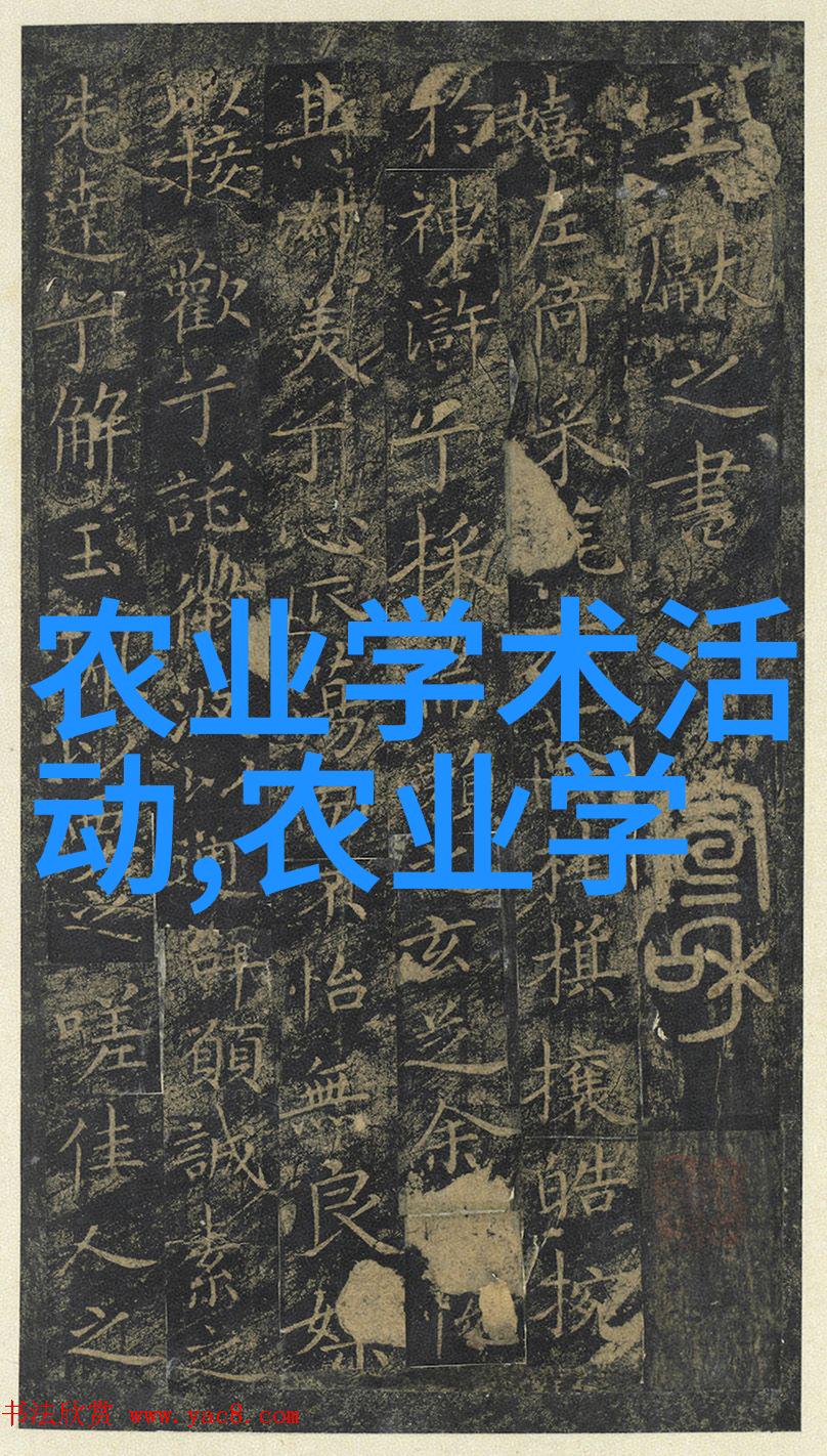 月芽霍云容奇幻冒险小说全文免费阅读神秘魔法世界的英雄征途